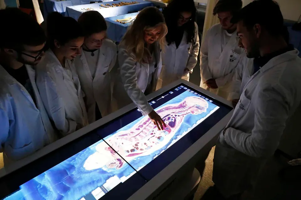 Recurso de estudo de anatomia da Interamericana